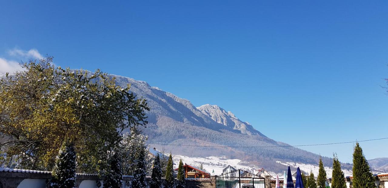 Pensiunea Casa Zarnesteana Zărneşti Buitenkant foto