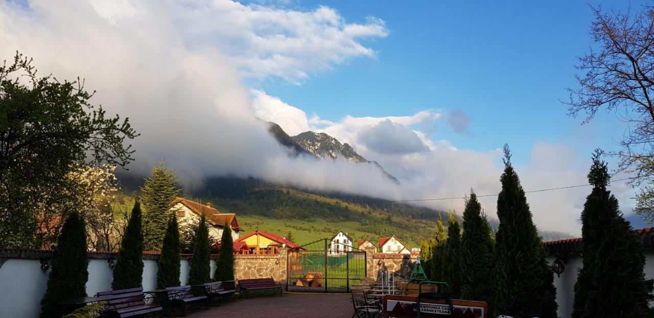 Pensiunea Casa Zarnesteana Zărneşti Buitenkant foto