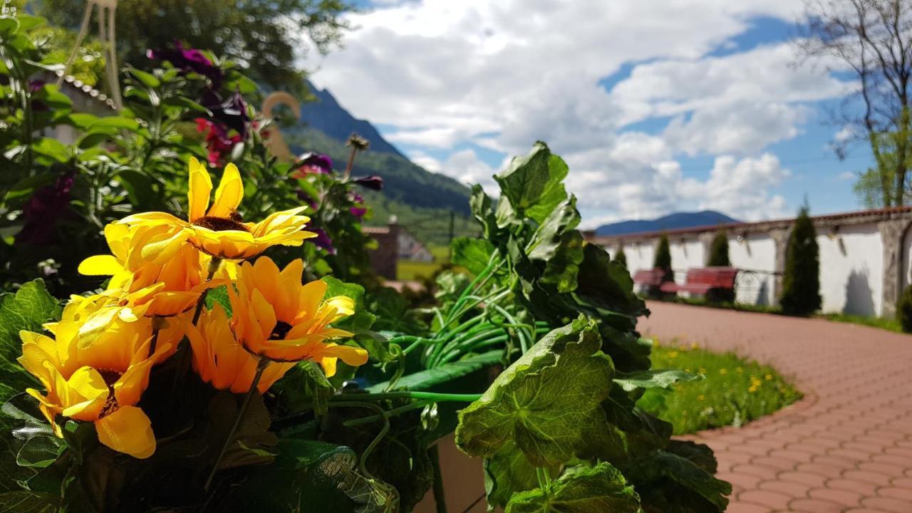 Pensiunea Casa Zarnesteana Zărneşti Buitenkant foto