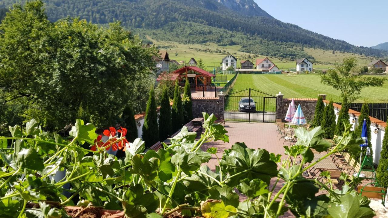 Pensiunea Casa Zarnesteana Zărneşti Buitenkant foto