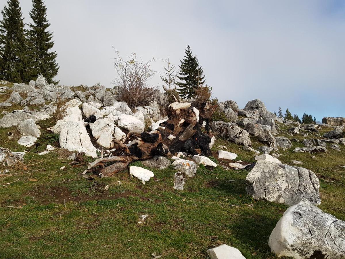 Pensiunea Casa Zarnesteana Zărneşti Buitenkant foto