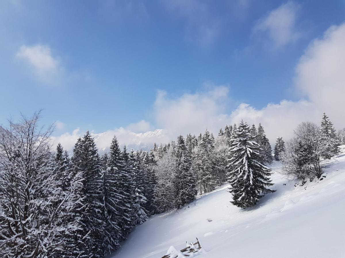 Pensiunea Casa Zarnesteana Zărneşti Buitenkant foto