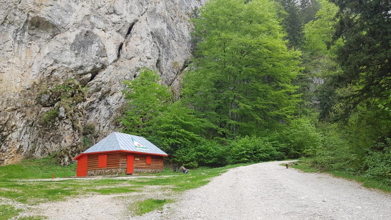 Pensiunea Casa Zarnesteana Zărneşti Buitenkant foto