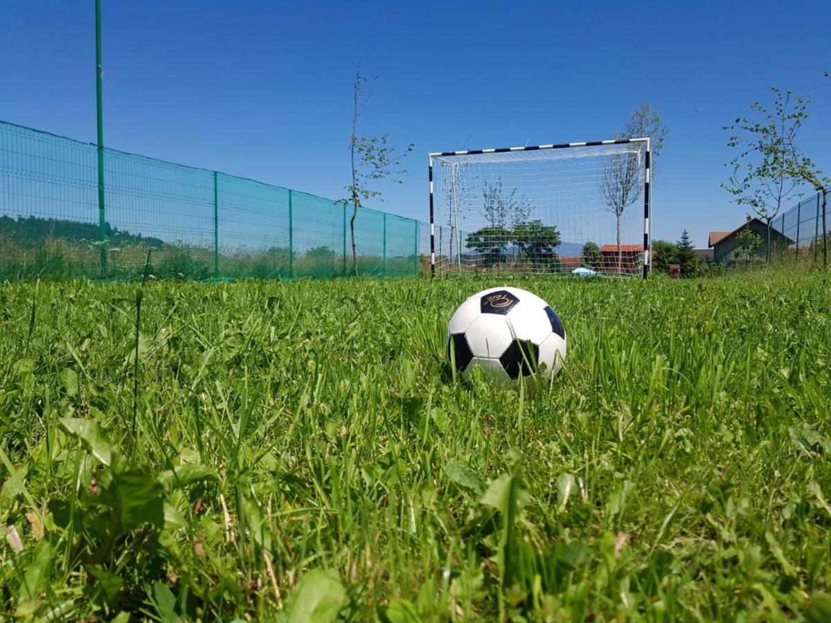 Pensiunea Casa Zarnesteana Zărneşti Buitenkant foto