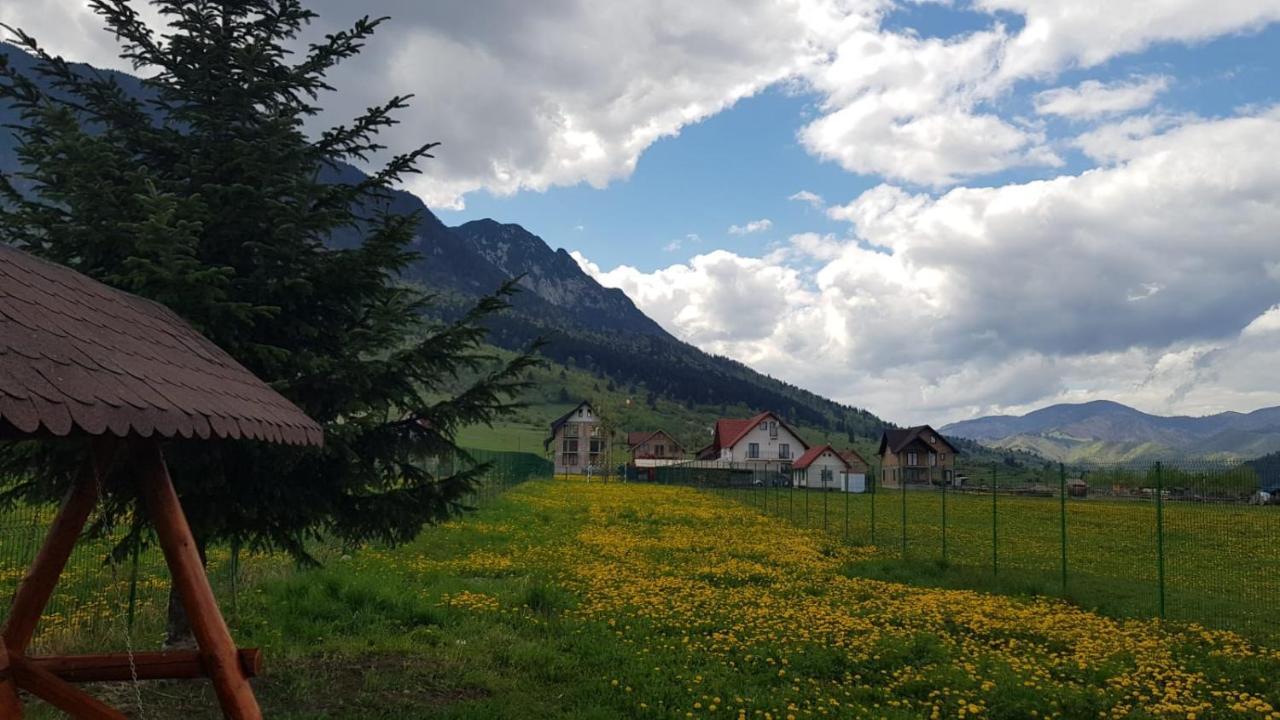 Pensiunea Casa Zarnesteana Zărneşti Buitenkant foto