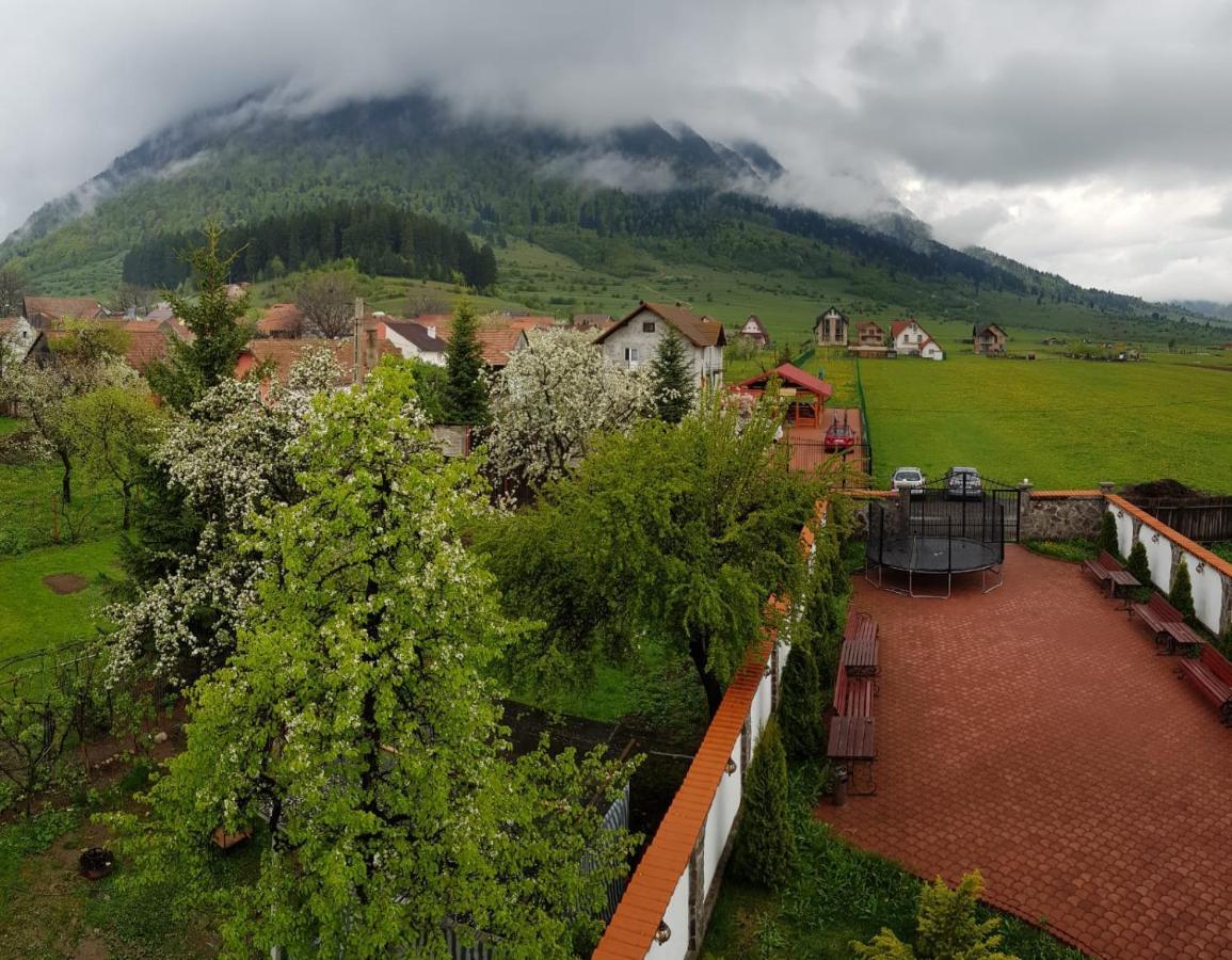 Pensiunea Casa Zarnesteana Zărneşti Buitenkant foto