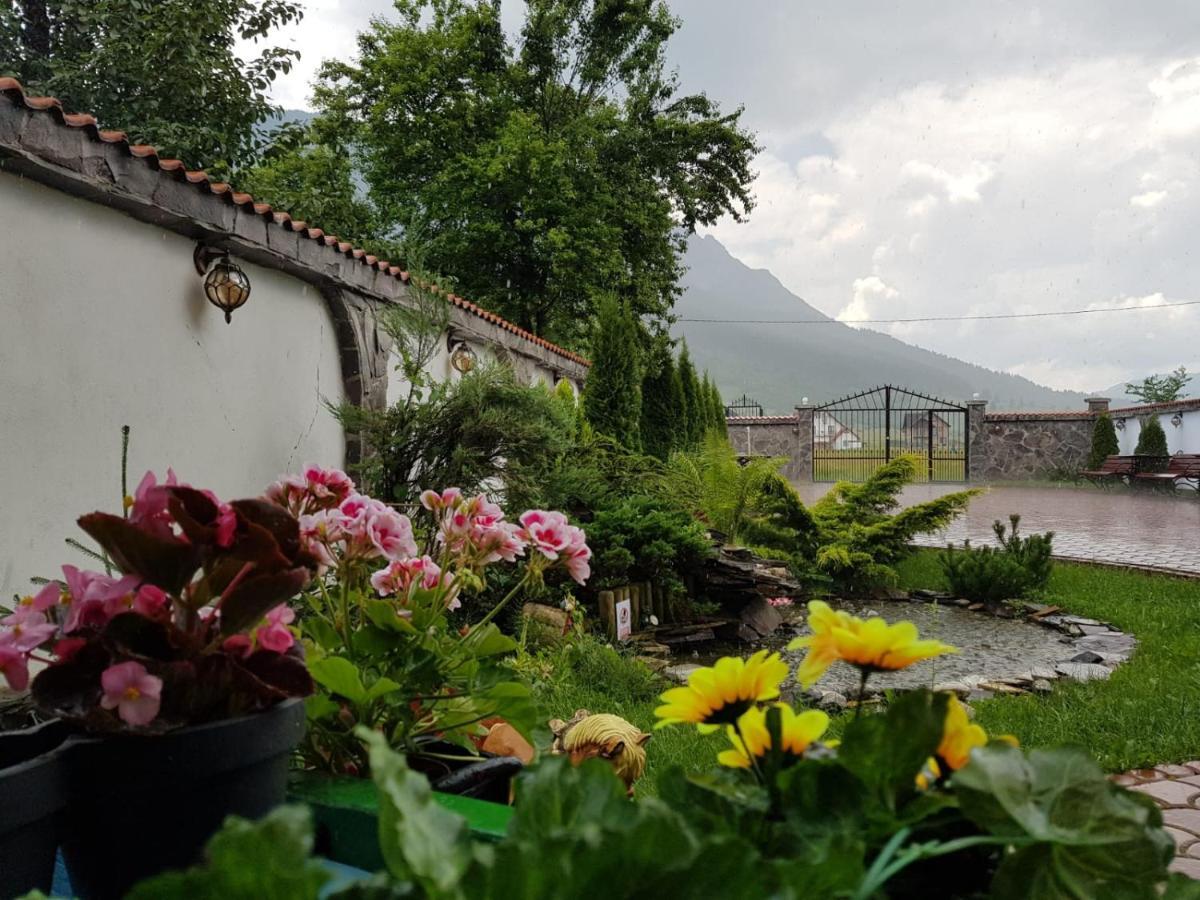 Pensiunea Casa Zarnesteana Zărneşti Buitenkant foto